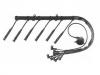 Cables de encendido Ignition Wire Set:12 12 1 705 623