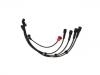 Ignition Wire Set:22450-11W25