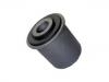 Suspension Bushing:55501-60U25