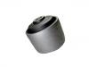 Suspension Bushing:55045-0M000