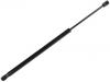 Gas Spring:5109514AB