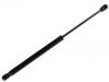 Gas Spring:5116369AB