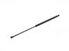 Gas Spring:8731.Q5