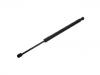 Gas Spring:1T0 827 550 H