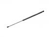 Gas Spring:82 00 000 896