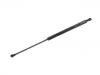 Gas Spring:84 43 000 01R