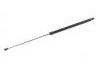 Gasdruckfeder Gas Spring:95146515