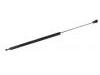 Gasdruckfeder Gas Spring:25931322