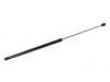 Gas Spring:57251-SG010