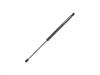 Gas Spring:82 00 119 498