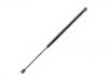 Gas Spring:82 00 377 789