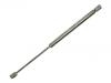 Gas Spring:82 00 051 750