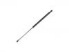 Gas Spring:82 00 299 546