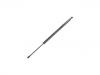 Gas Spring:82 00 219 322