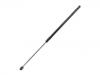 Gas Spring:8731.E7