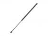 Gas Spring:8731.C3