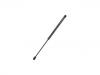 Gas Spring:9641721980