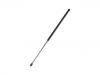 Gas Spring:8731.P2