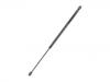 Gas Spring:8731.N9