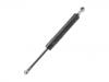 Gas Spring:8643 038