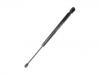 Gas Spring:30716189