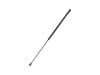 Gas Spring:4 378 216