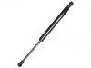 Gas Spring:1S71-F406A10-AB