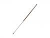 Gas Spring:4 346 105