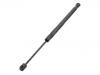 Gas Spring:7S71-F406A10-AF