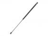 Gas Spring:6M21-R406A10-AD