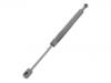 Gasdruckfeder Gas Spring:48 55 094