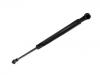Gas Spring:467 392 02
