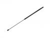 Gasdruckfeder Gas Spring:1Q0 823 359