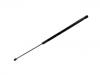 Gasdruckfeder Gas Spring:1K0 823 359 A