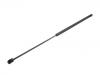 Gasdruckfeder Gas Spring:1C0 823 359 C