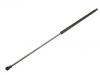 Gasdruckfeder Gas Spring:30819865