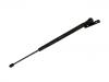 Gas Spring:11 80 401