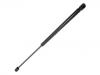Gas Spring:43 23 994
