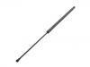 Gasdruckfeder Gas Spring:90 45 100 05R